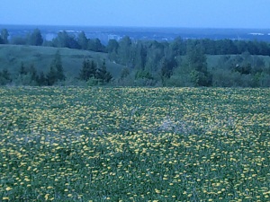 Описание: Описание: C:\Users\Вован\Desktop\Фото\Сайт\вот\PICT0598.jpg