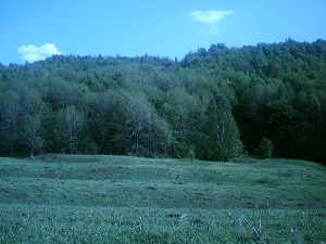 Описание: Описание: C:\Users\Вован\Desktop\Фото\Сайт\вот\PICT0623.jpg
