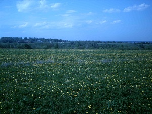Описание: Описание: C:\Users\Вован\Desktop\Фото\Сайт\вот\PICT0592.jpg