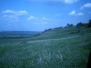 Описание: Описание: C:\Users\Вован\Desktop\Фото\Сайт\вот\PICT0621.jpg